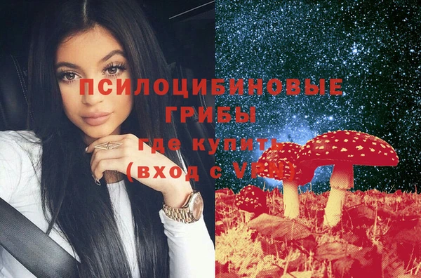 крисы Алзамай