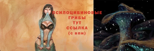 крисы Алзамай