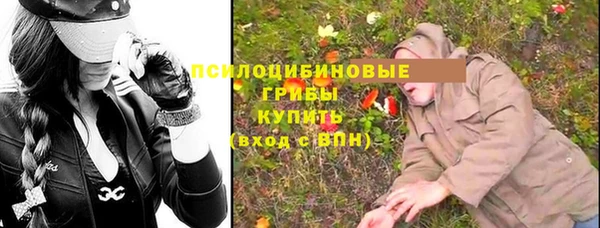 крисы Алзамай