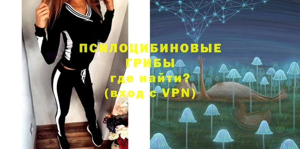 крисы Алзамай