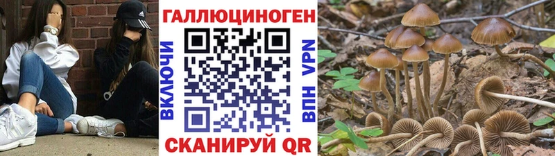 цена наркотик  Кизел  Псилоцибиновые грибы MAGIC MUSHROOMS 